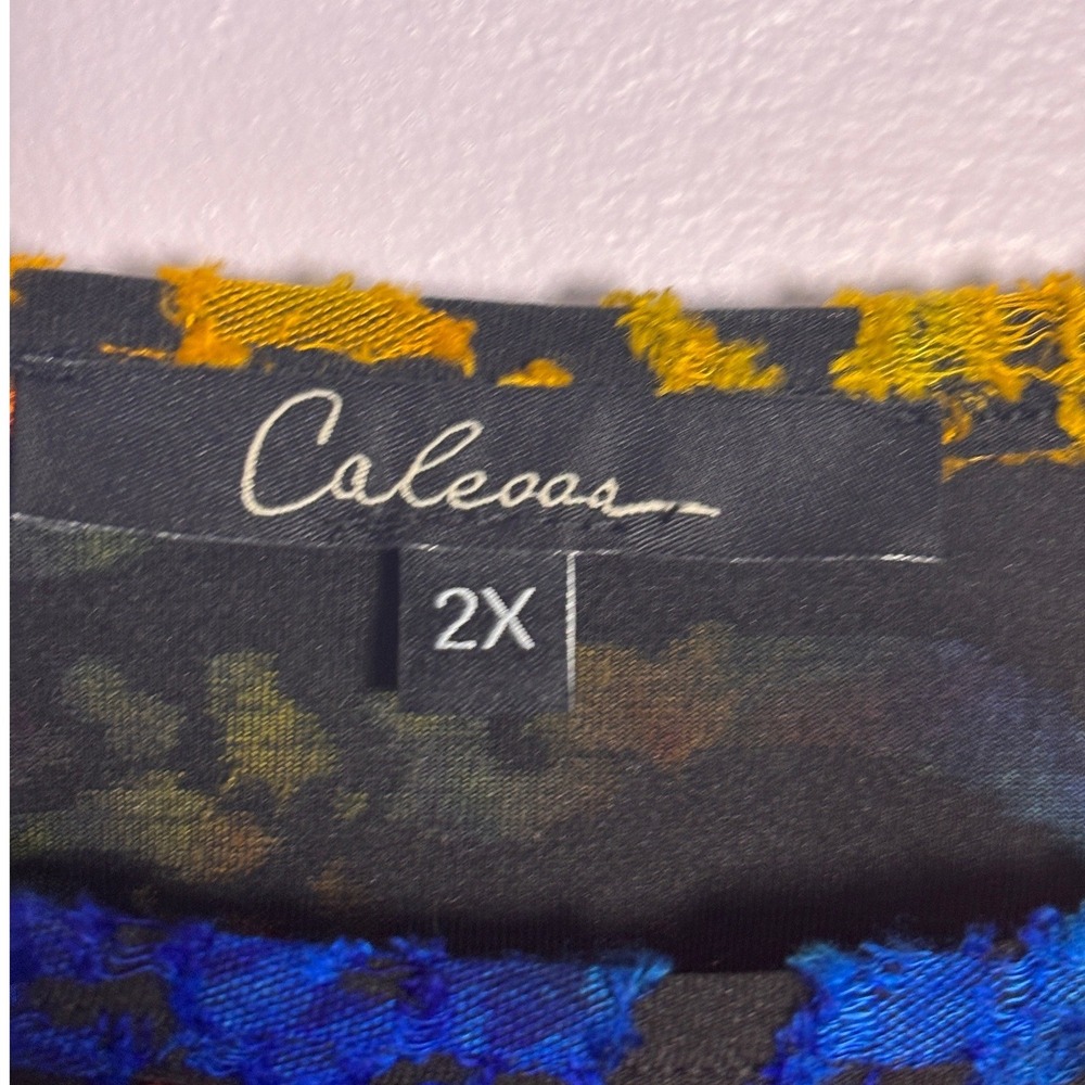 Calessa Womens Tunic 2X Multicolor Rainbow Burnout Velvet Asymmetrical Artistic - Picture 5 of 6
